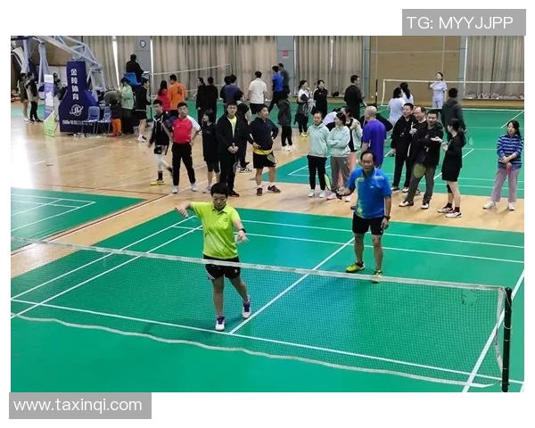 西安羽毛球队的团队协作与战术配合深度分析与探讨